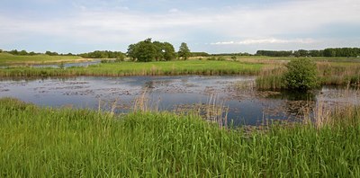 BUITEN BEELD Foto: 101564