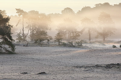 BUITEN BEELD Foto: 105228