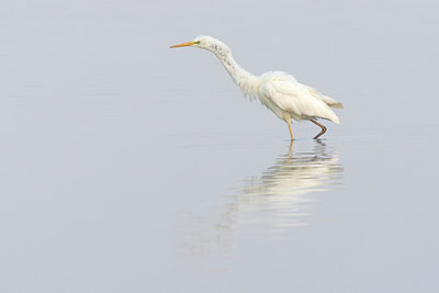 BUITEN BEELD Foto: 105287