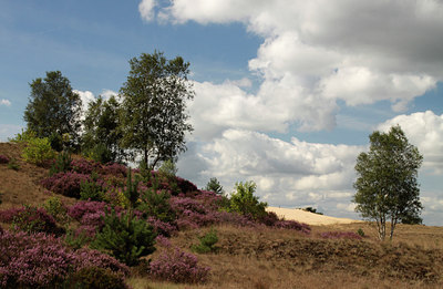 BUITEN BEELD Foto: 105507