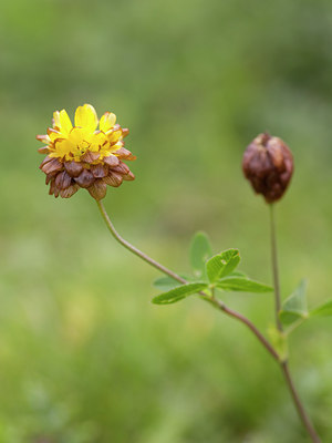 BUITEN BEELD Foto: 108326