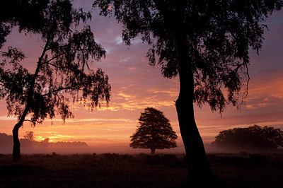 BUITEN BEELD Foto: 111300