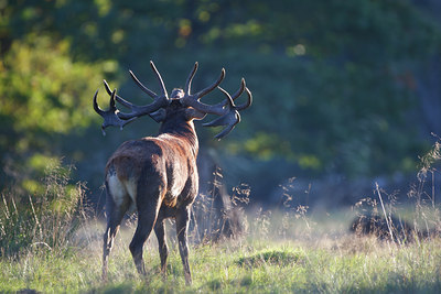 BUITEN BEELD Foto: 112628