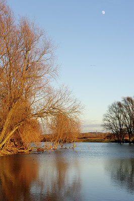 BUITEN BEELD Foto: 114411