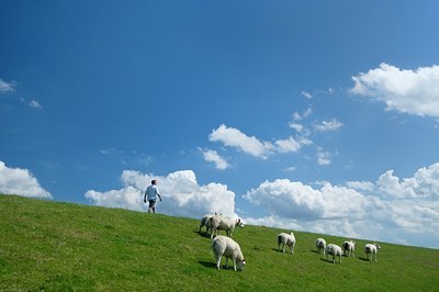 BUITEN BEELD Foto: 117071