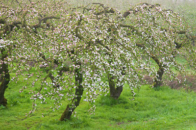 BUITEN BEELD Foto: 122318