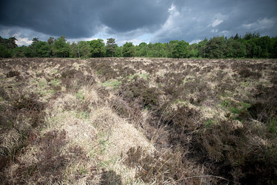 BUITEN BEELD Foto: 128521