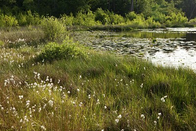 BUITEN BEELD Foto: 131582