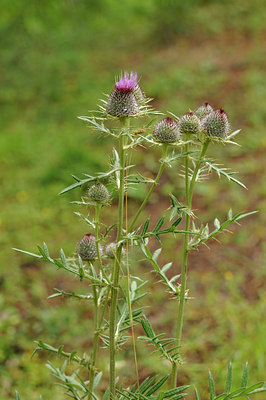 BUITEN BEELD Foto: 138229