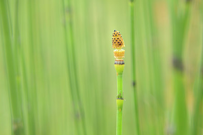 BUITEN BEELD Foto: 140201