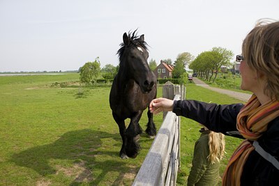 BUITEN BEELD Foto: 140936