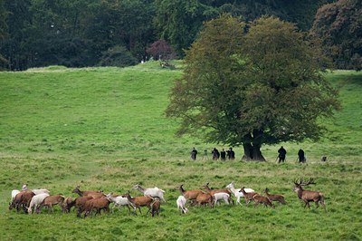 BUITEN BEELD Foto: 143247