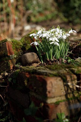 BUITEN BEELD Foto: 143854