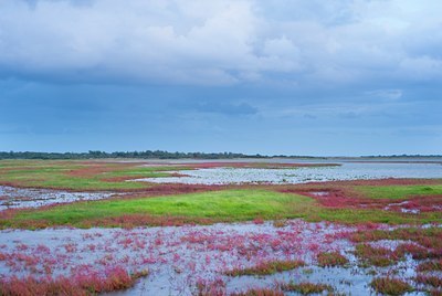 BUITEN BEELD Foto: 144779