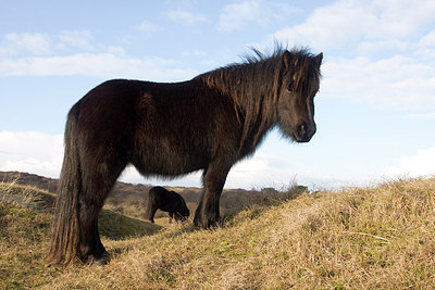 BUITEN BEELD Foto: 148517