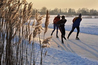 BUITEN BEELD Foto: 154313