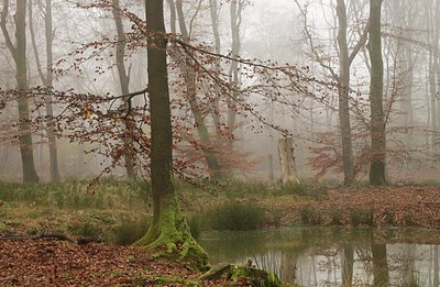 BUITEN BEELD Foto: 154399