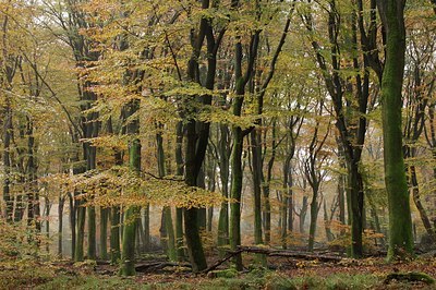 BUITEN BEELD Foto: 154562