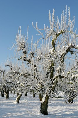 BUITEN BEELD Foto: 158066