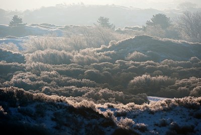 BUITEN BEELD Foto: 158189