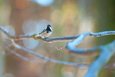 BUITEN BEELD Foto: 161547