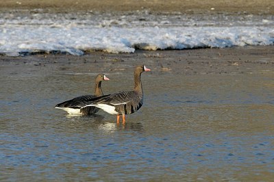 BUITEN BEELD Foto: 162285