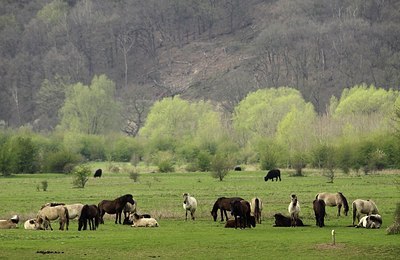 BUITEN BEELD Foto: 164070