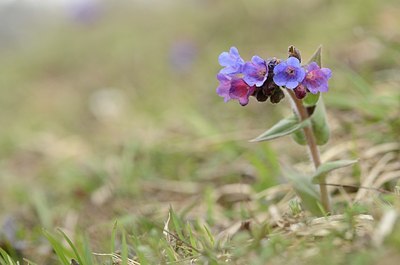 BUITEN BEELD Foto: 167690