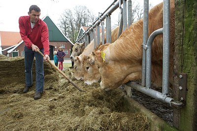 BUITEN BEELD Foto: 171249