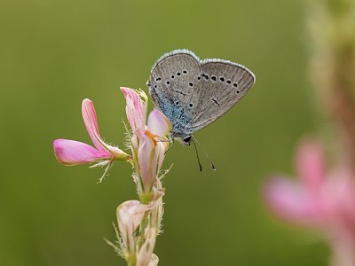 BUITEN BEELD Foto: 173671