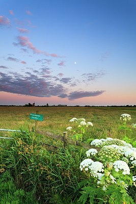 BUITEN BEELD Foto: 173929