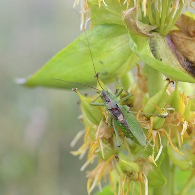 BUITEN BEELD Foto: 182260