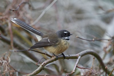 BUITEN BEELD Foto: 182378