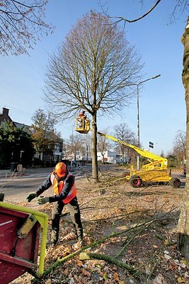 BUITEN BEELD Foto: 182629