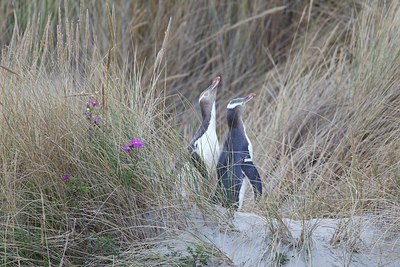 BUITEN BEELD Foto: 183124