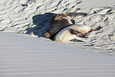 BUITEN BEELD Foto: 184638