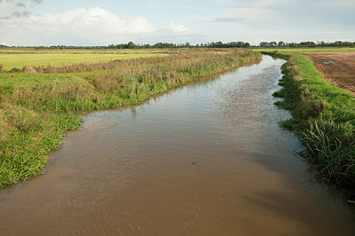 BUITEN BEELD Foto: 184964