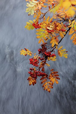 BUITEN BEELD Foto: 188438