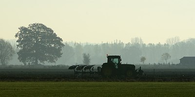 BUITEN BEELD Foto: 191044