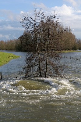 BUITEN BEELD Foto: 194030