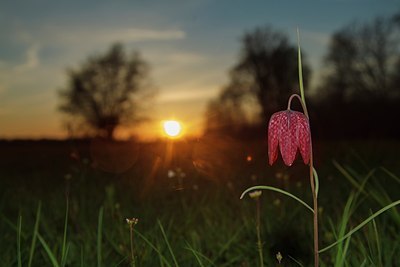 BUITEN BEELD Foto: 207084