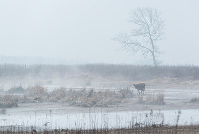 BUITEN BEELD Foto: 208383