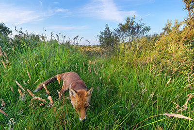 BUITEN BEELD Foto: 215241