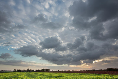 BUITEN BEELD Foto: 216150