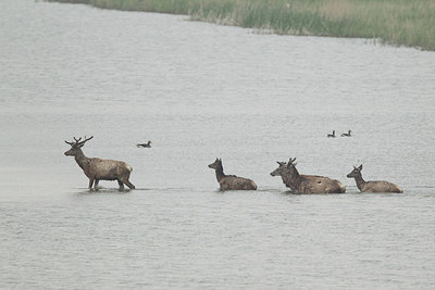 BUITEN BEELD Foto: 220040