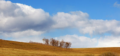 BUITEN BEELD Foto: 220341