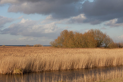 BUITEN BEELD Foto: 225270