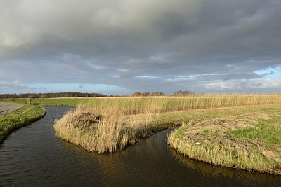 BUITEN BEELD Foto: 227652