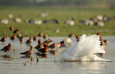 BUITEN BEELD Foto: 230153