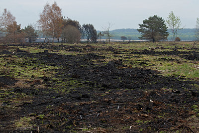 BUITEN BEELD Foto: 230737